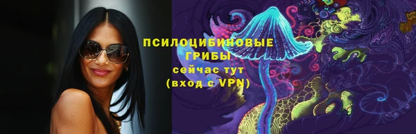молекула духа Балахна