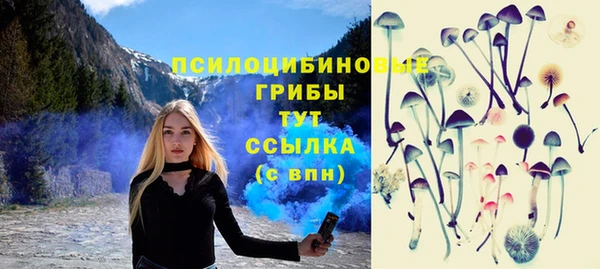 молекула духа Балахна