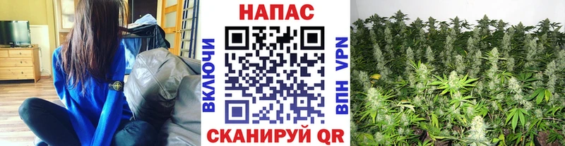 Конопля VHQ  даркнет сайт  Себеж 